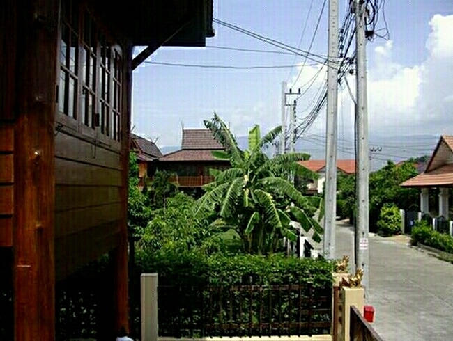 thaihaus17