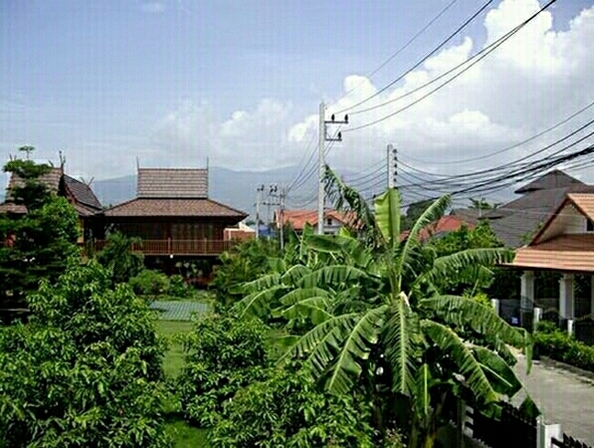 thaihaus18