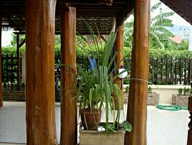 thaihaus21