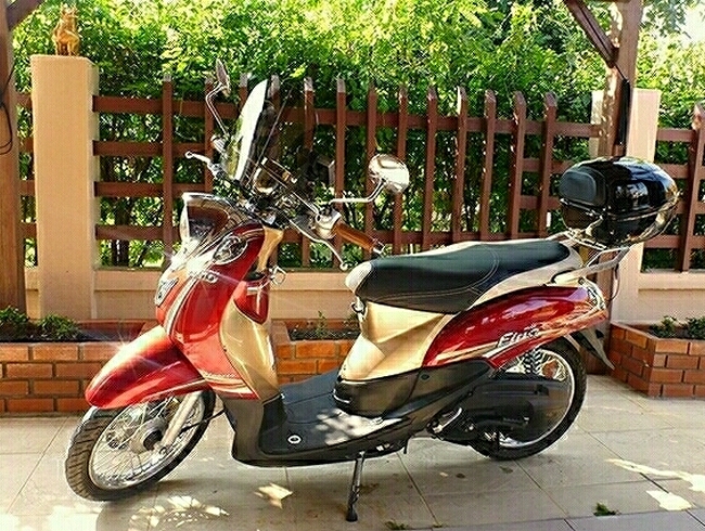 thaihaus30