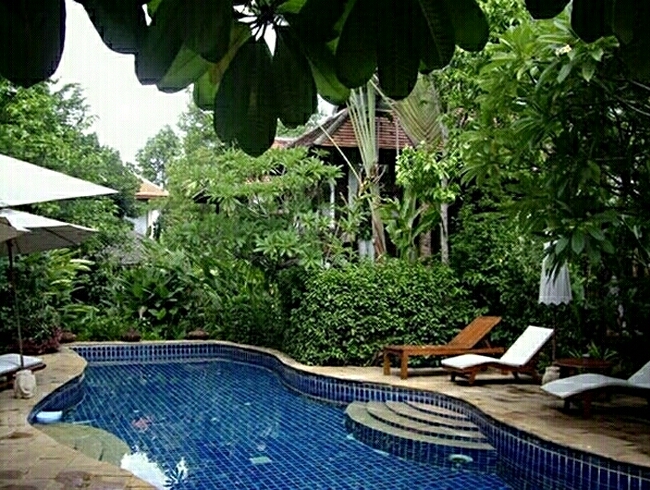 thaihaus47