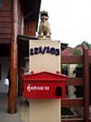 thaihaus31