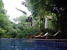 thaihaus49